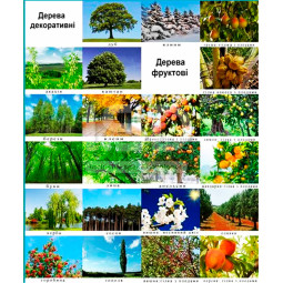 Тематичні фотоілюстраціі Взаємодія людини Тематичні фотоілюстраціі Взаємодія людини