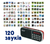 АудіоЛото “120 звуків” 